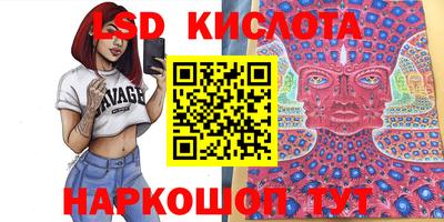 крисы Малгобек