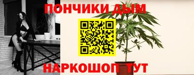 крисы Малгобек