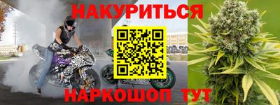 крисы Малгобек