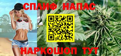 крисы Малгобек